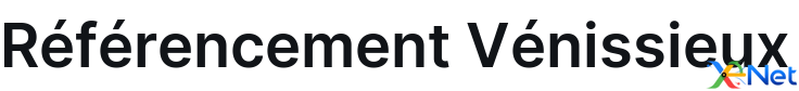 Référencement Vénissieux